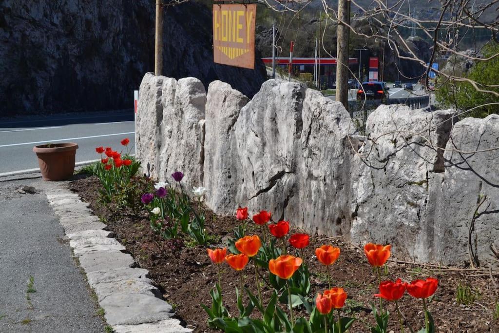 Una Apartment Cetinje Exterior foto